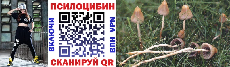 Галлюциногенные грибы ЛСД  Наволоки 